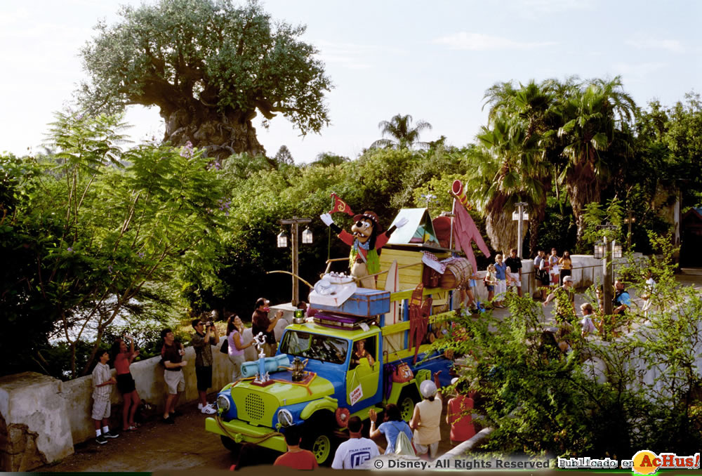 Imagen de Disney´s Animal Kingdom  Mickey Jammin Jungle parade 001