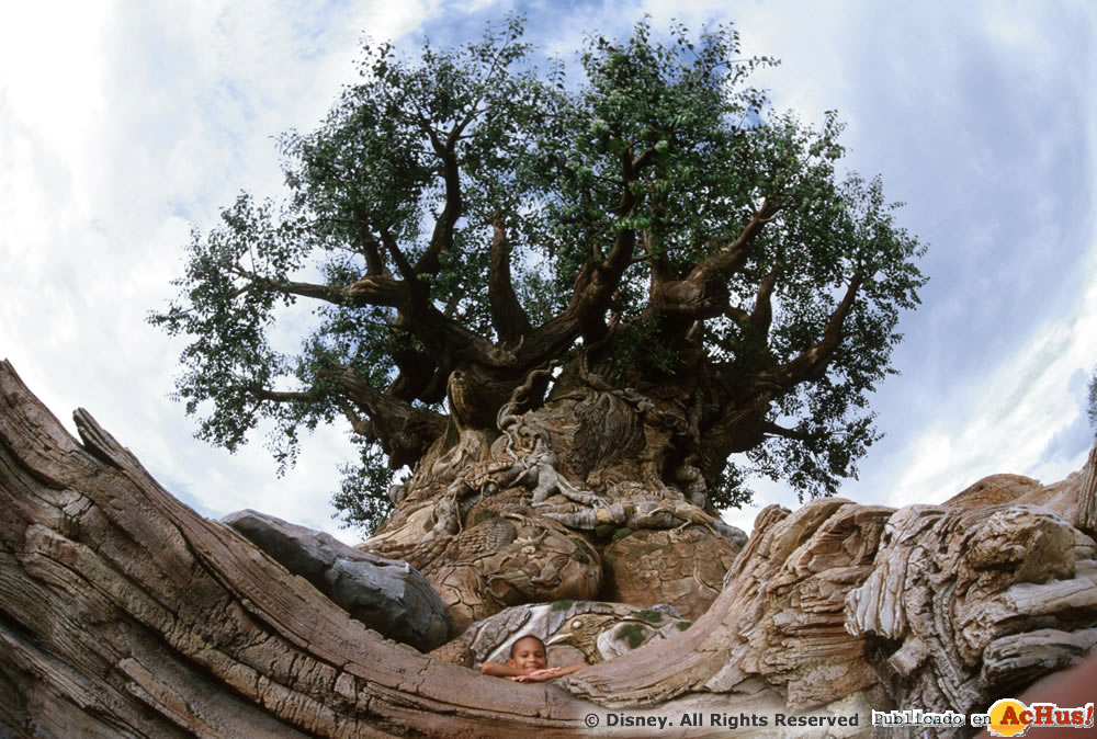 Imagen de Disney´s Animal Kingdom  Tree of Life