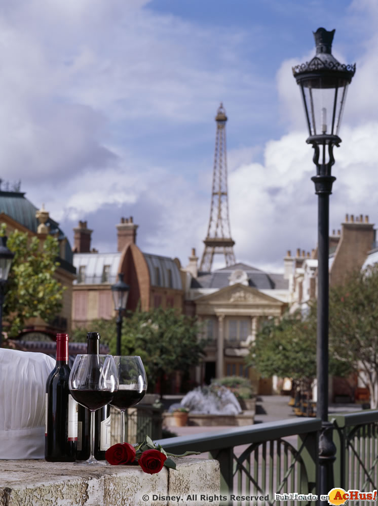 Imagen de Parque Temático Epcot  Francia