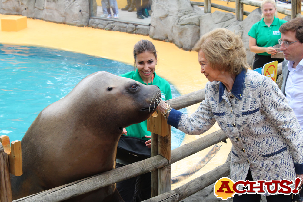 Día Mundial de los Océanos con Zoo Aquarium de Madrid