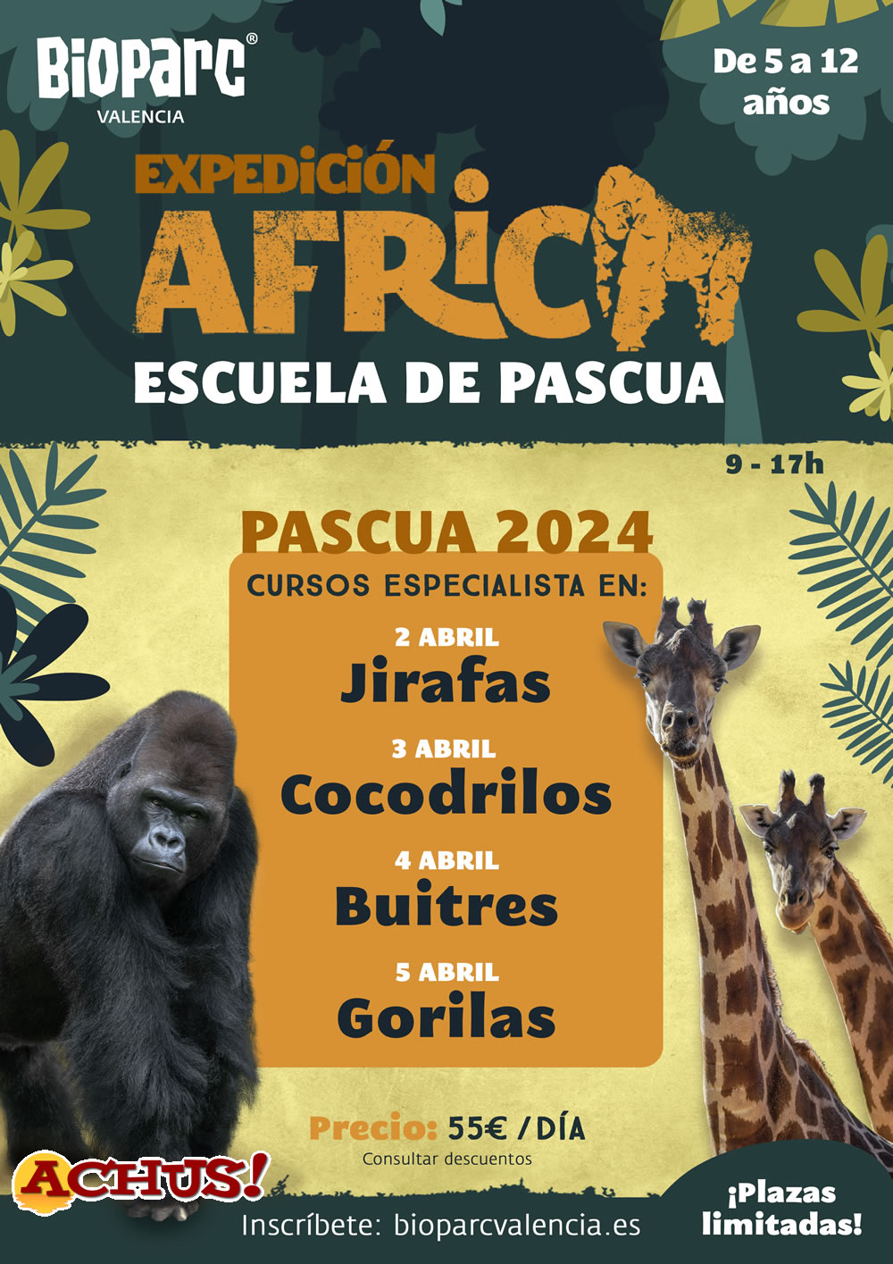 Bioparc Valencia abre las inscripciones para la Escuela de Pascua "Expedición África"