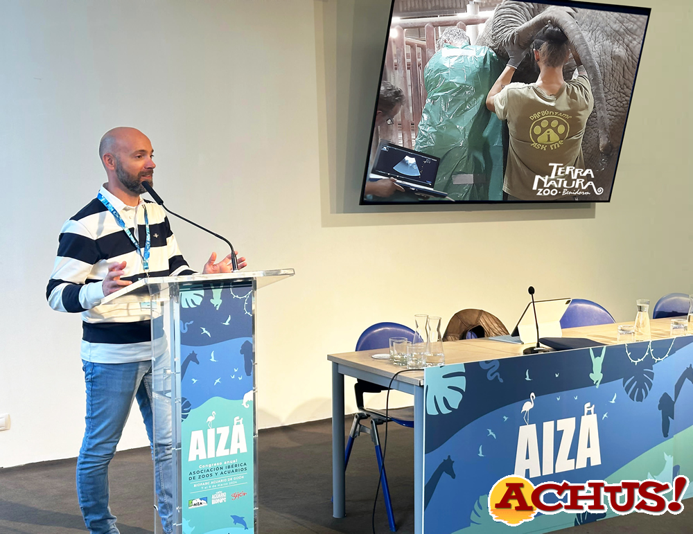 Terra Natura Benidorm participa en el Congreso Anual de AIZA con una ponencia sobre cuestiones reproductivas en rinocerontes y elefantes.