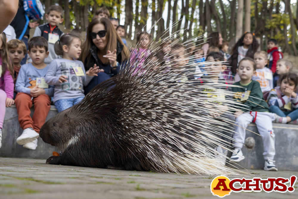 Bioparc Valencia: una gran aula abierta para escolares con visitas guiadas 