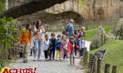 Bioparc Valencia: una gran aula abierta para escolares con visitas guiadas desde 11€