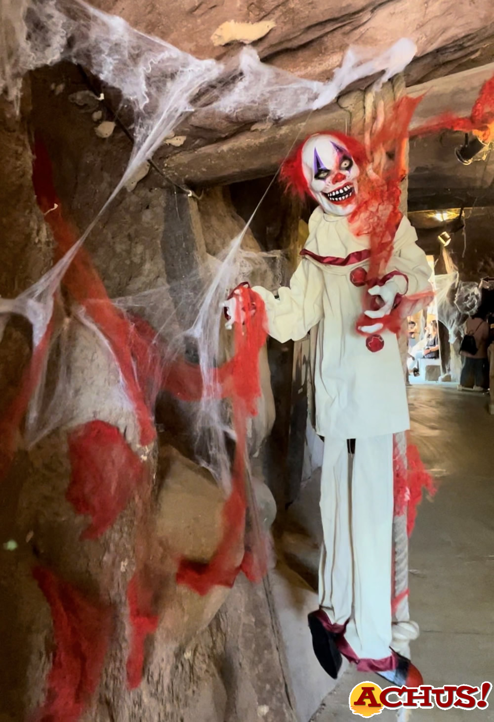 Terra Natura celebra Halloween con un ‘escape room’ que invita a descifrar el misterio del guacamayo rojo infectado.