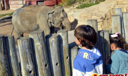 Terra Natura Benidorm lanza una oferta especial de ocio educativo para familias de las AMPAS