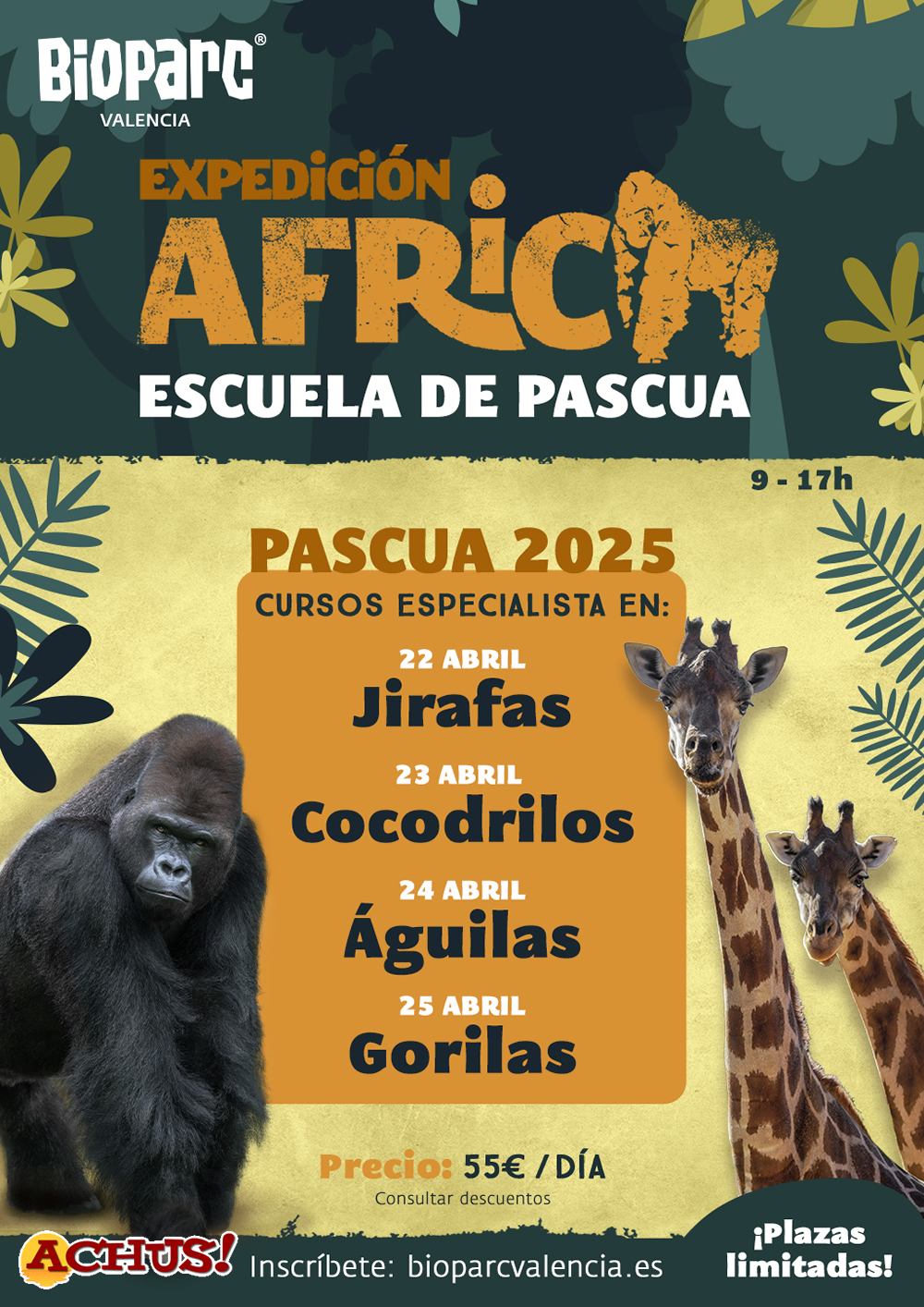 Bioparc Valencia abre las inscripciones para la Escuela de Pascua "Expedición África"